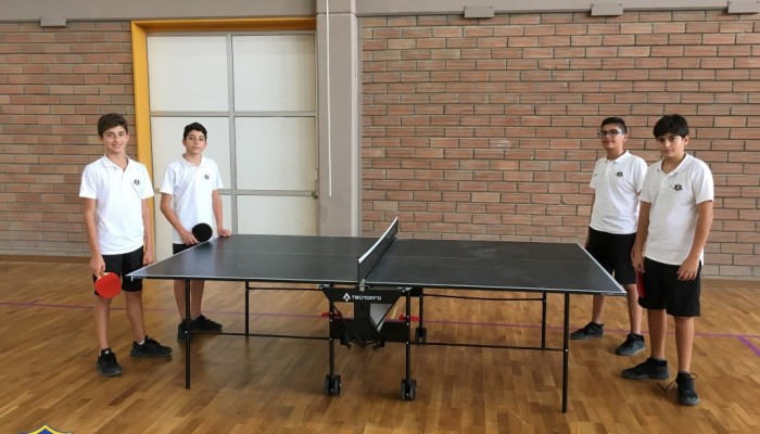 Table Tennis Club